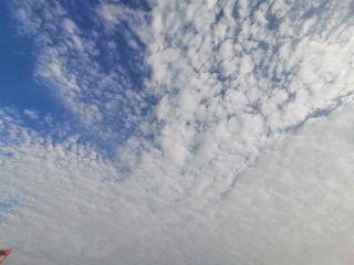 389