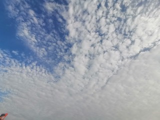390