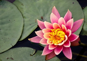 IMG_5650.jpg
