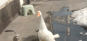 3582922