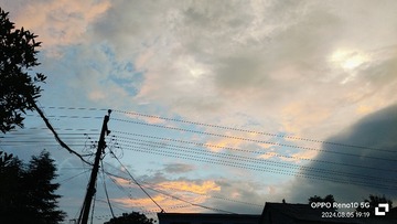 1000064984