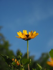 130624