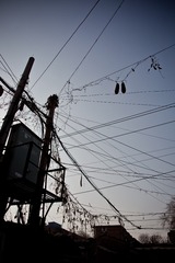 20130112-IMG_8316