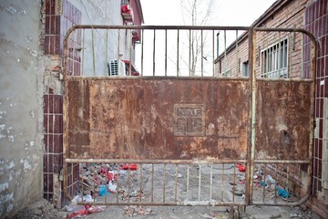 20130112-IMG_8347