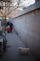 20140104-DSCF9770