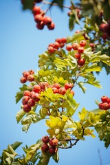 20131026-_H5U6938
