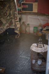 20140104-DSCF9801