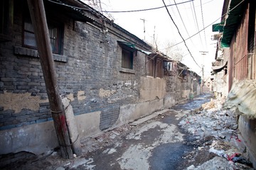 20130112-IMG_8394