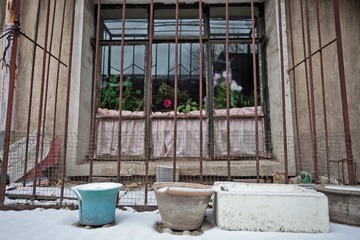 IMG_5055