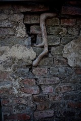 20130112-IMG_8399