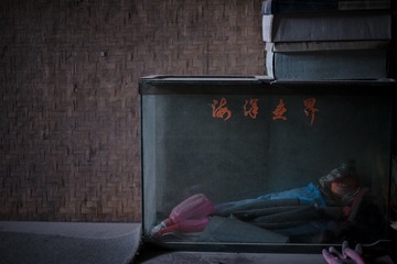 20140104-DSCF9737