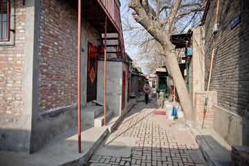 20130112-IMG_8304