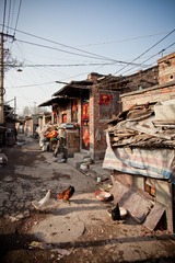 20130112-IMG_8305