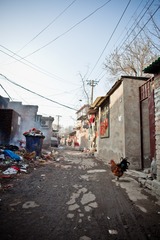 20130112-IMG_8301