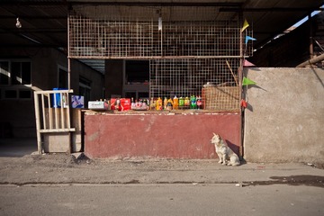 20130112-IMG_8368