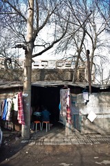 20130112-IMG_8330