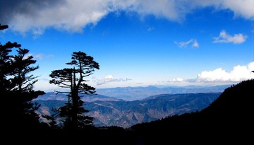 IMG_3416.jpg