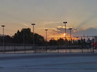 1000246052