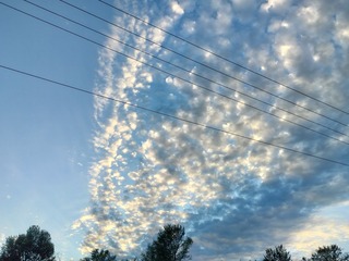 1000237381