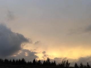 1000175088