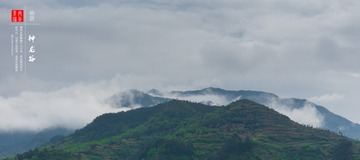 DSC02764-2