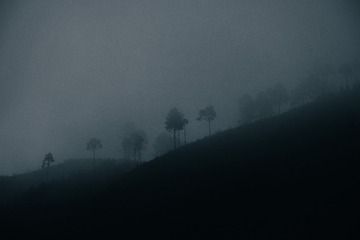 03088E73-2952-4E07-9209-C306899A653C/L0/001