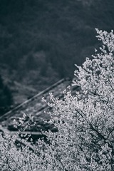 DCC4E3B1-2C37-44E7-AA41-A506C8D22F08/L0/001