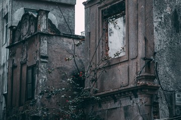 A80A7D83-AC68-49DF-9322-AF09FD0C3CB6/L0/001
