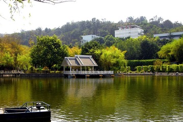 _IGP0023-.jpg