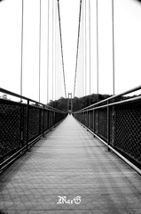 Endless