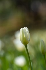 24050