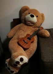 32093