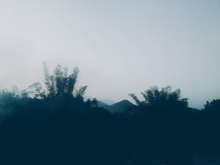 1000005160