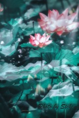 001