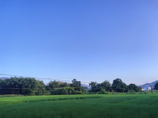 1000033676