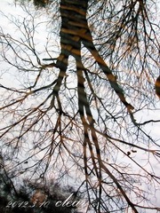IMG_304712.jpg