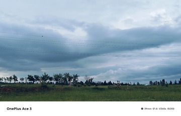 1000002065
