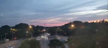 1000036687