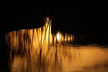 1000059384