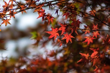 DSC06759.jpg