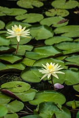 DSC02285.jpg