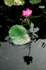 DSC02331.jpg