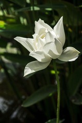 DSC02451.jpg