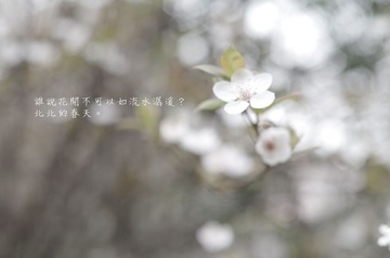 IMGP1714.jpg