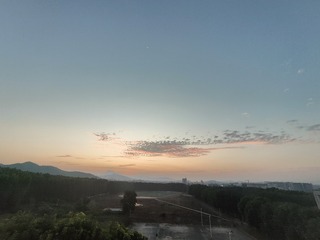 1000021641