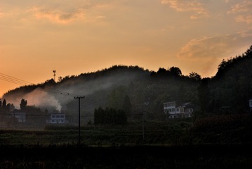 52481