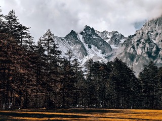1000115105