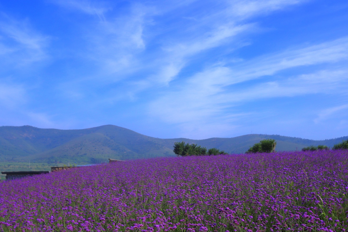 朱家林一个有山有水有乡愁的地方