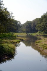 DSC_0587.JPG
