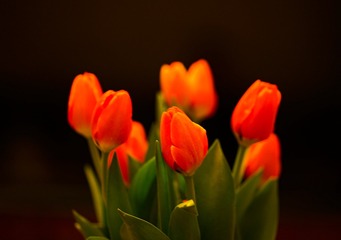 170345